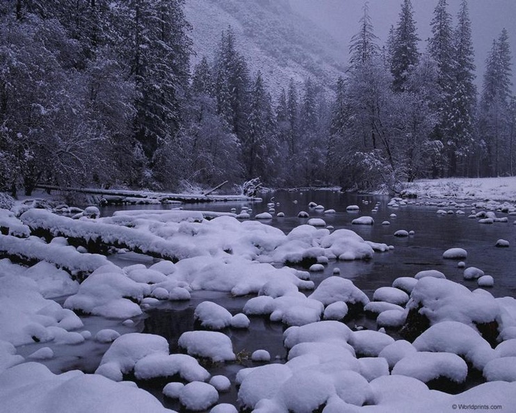 frozen wilderness